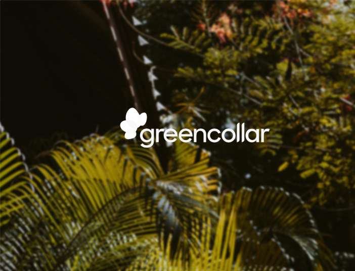Symbiosis: Doing project due diligence at scale