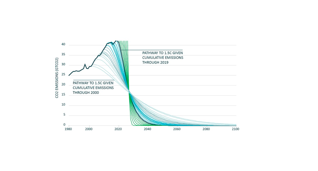 Key principles for building a science aligned carbon credit strategy ...