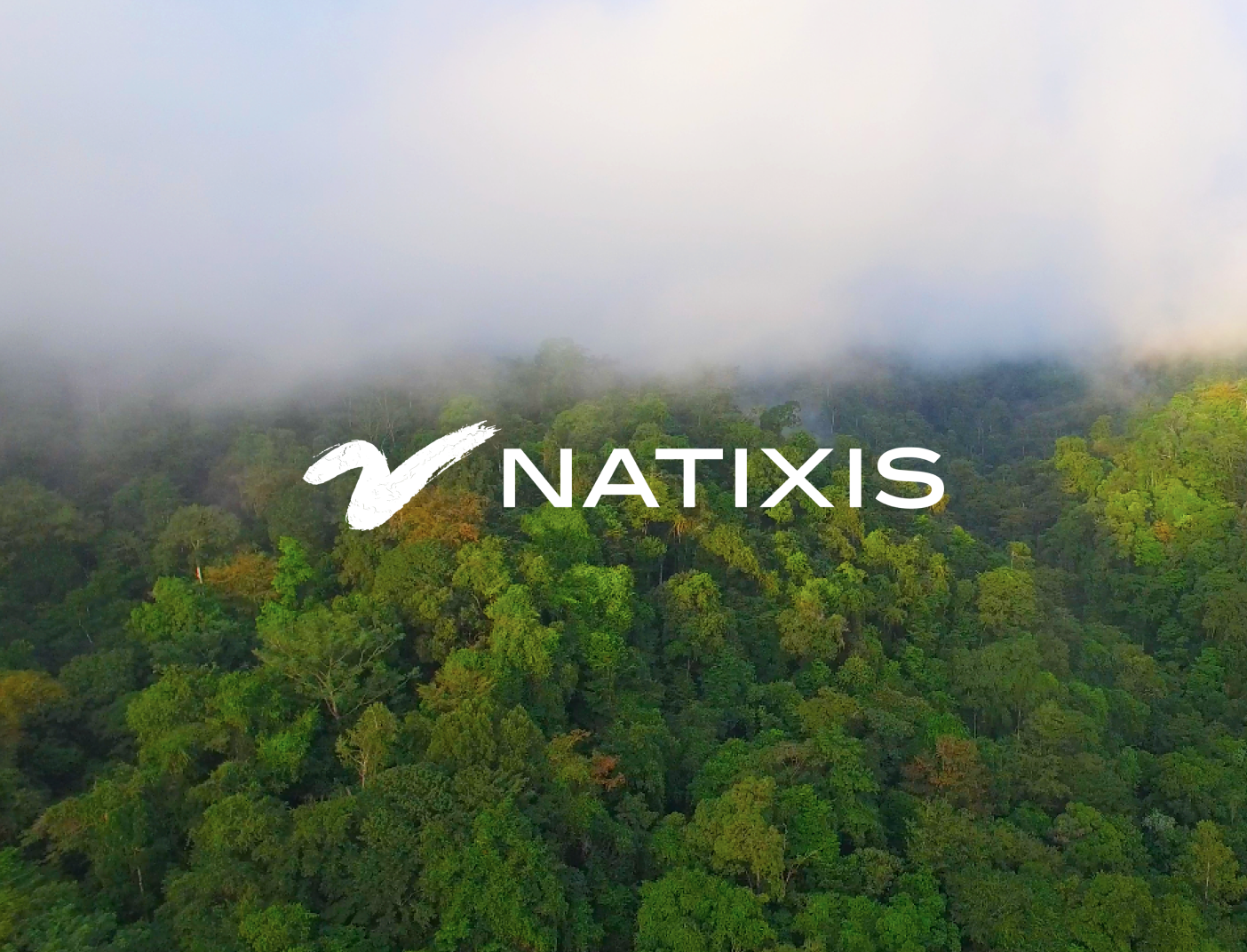 Natixis: A climate contribution solution for fund managers