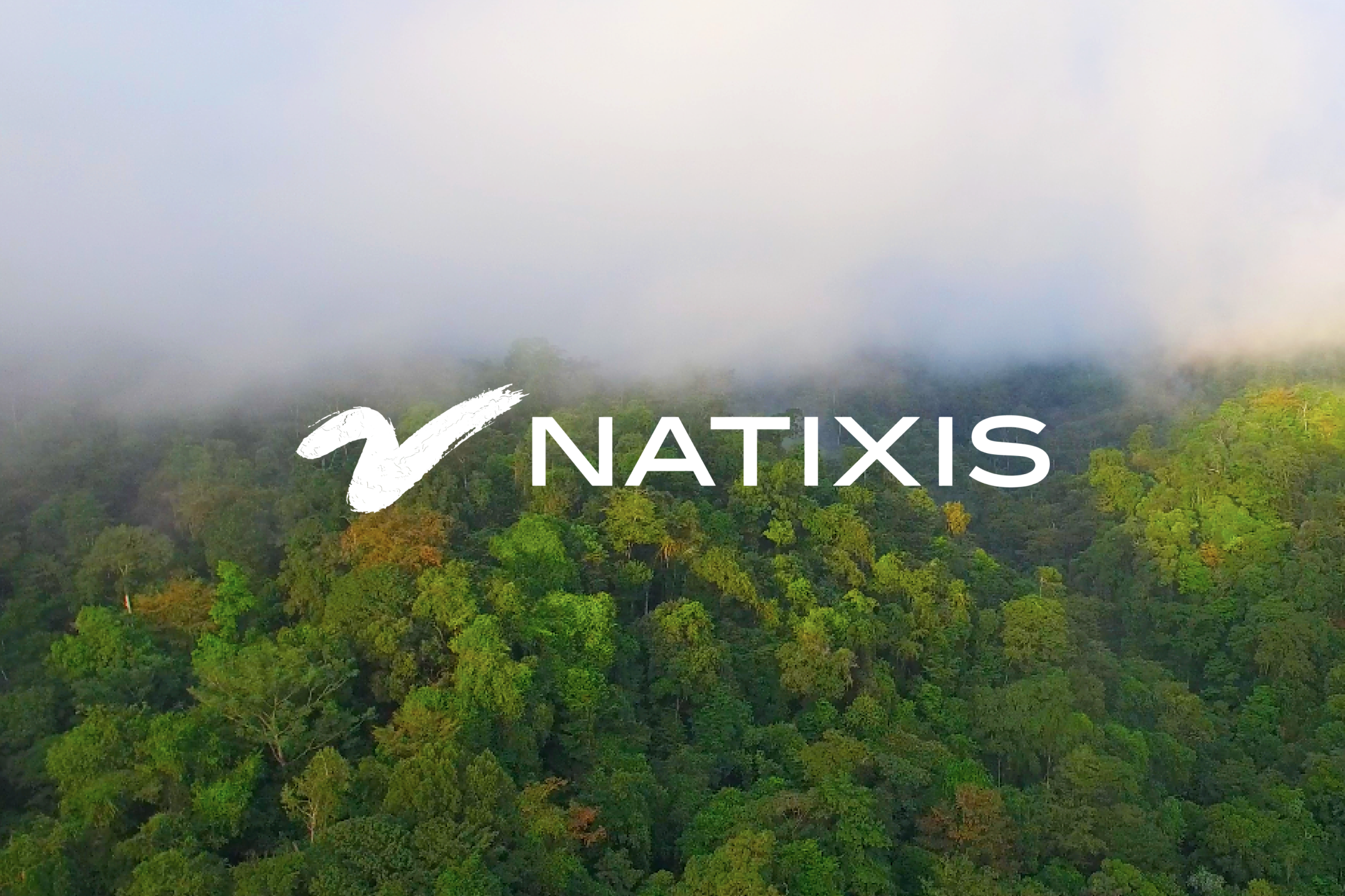 Natixis: A climate contribution solution for fund&nbsp;managers