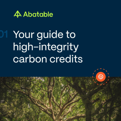 Your guide to high-integrity carbon credits
